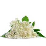 elderflower