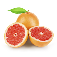 grapefruit