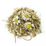 chamomile