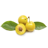 yellow plum