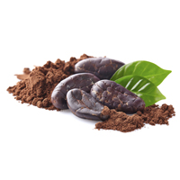 cacao